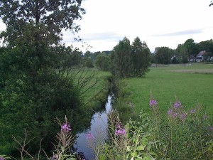 2001.08.05 20.03.16.jpg